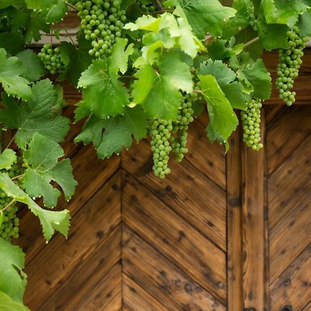 Vinonima Vendégház Hegymagas Esterno foto