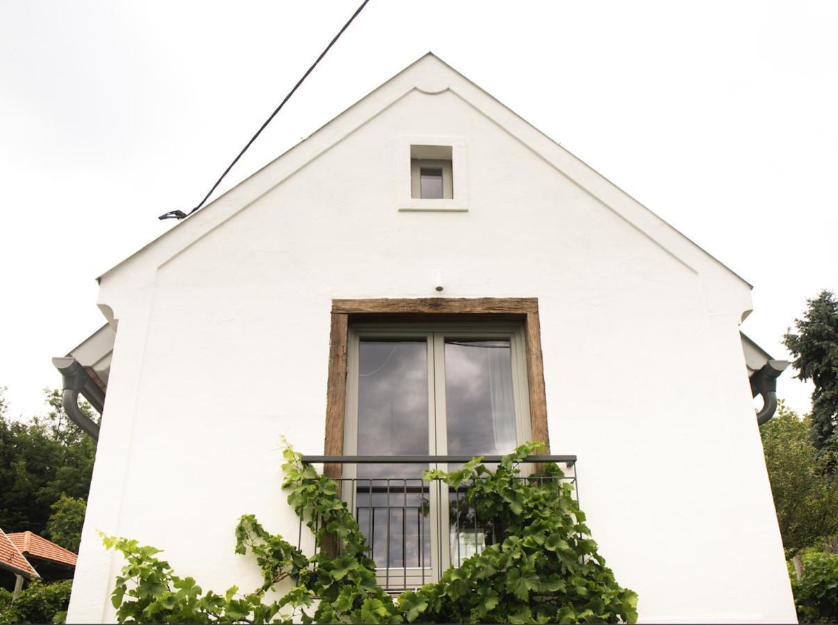 Vinonima Vendégház Hegymagas Esterno foto